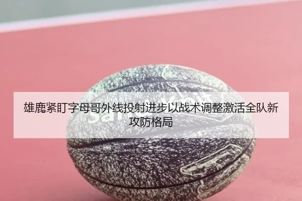 雄鹿紧盯字母哥外线投射进步以战术调整激活全队新攻防格局
